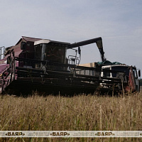 Военнослужащие оказывают помощь в уборке урожая