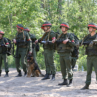 «Страж порядка»