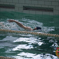 Рыцари трех стихий