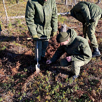 Военнослужащие Вооружённых Сил принимают участие в республиканской акции «Дай лесу новае жыццё»