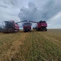 Военнослужащие продолжают оказывать помощь в уборке урожая