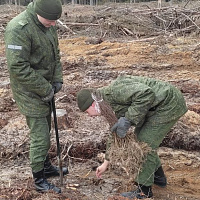 Нужное и важное дело