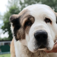 Держат ухо востро