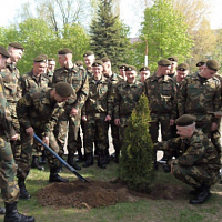 Парни возвращаются домой