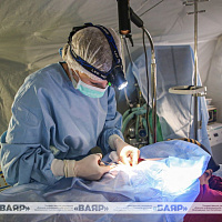 Сегодня в Вооружённых Силах отмечается День тыла