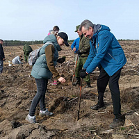 Сделали доброе дело
