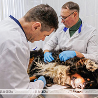 Сегодня в Вооружённых Силах отмечается День тыла