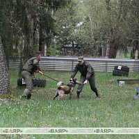 В Кинологическом центре Вооружённых Сил проходит сбор по специальности