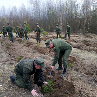 Сделали благородное дело