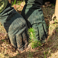 Военнослужащие 120 омбр приняли участие в субботнике