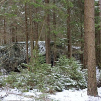 Военнослужащие 60 опс совершают полевой выход