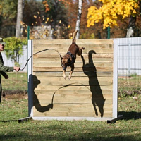Служба одна на двоих