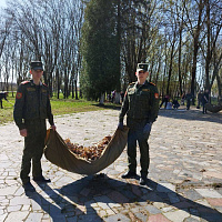 Работая плечом к плечу