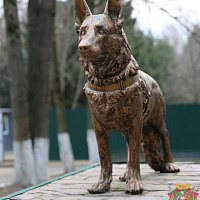 Служба одна на двоих