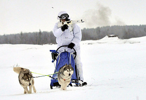 Морпехи ТОФ на учениях на Камчатке впервые передвигались на собачьих упряжках