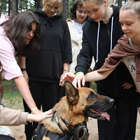 Каникулы цвета хаки