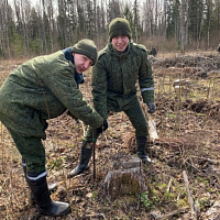 Неделя леса