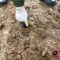 Вклад в будущее нашей страны