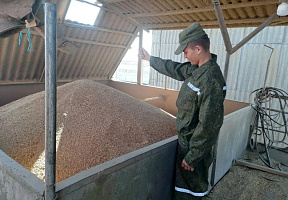  Военнослужащие 361 боо (ЦОВУ) продолжают оказывать помощь аграриям Речицкого района Гомельской области