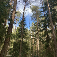 Связисты с задачами справятся