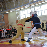 Чемпионат сил специальных операций Вооруженных Сил по армейскому рукопашному бою