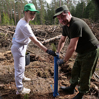Продолжается добровольная акция «Аднавім лясы разам»