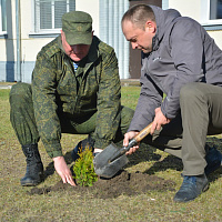 Брестские десантники присоединились к Республиканской акции «Неделя леса»