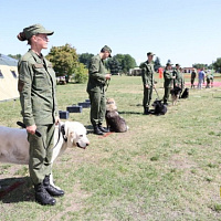 День Независимости — у Кургана Славы