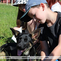 Военные кинологи посетили воспитанников школьного лагеря Колодищанской средней школы
