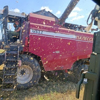 Военнослужащие продолжают оказывать помощь сельским труженикам в уборочной страде