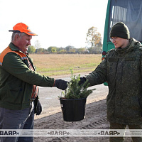 Военнослужащие ВВС и войск ПВО присоединились к республиканской акции «Дай лесу новае жыццё»