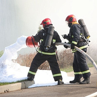В рамках командно-штабного учения сил территориальной обороны