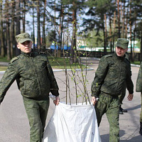 Польза — общая