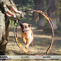 Оболь встречает «Марш Победы»
