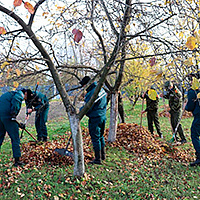 Совместными усилиями
