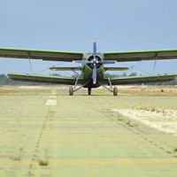 Брестские десантники в родной стихии