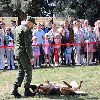 День Независимости — у Кургана Славы