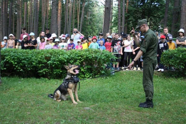 Каникулы цвета хаки