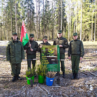 Военнослужащие 297 цуфпс приняли участие в акции «Дай лесу новае жыццё»