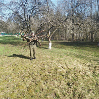 Связисты 62 ЦУС приняли участие в благоустройстве братских могил и захоронений Смолевичского района