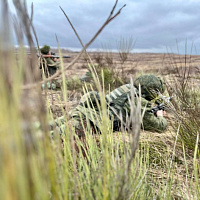 Действуя слаженно и решительно