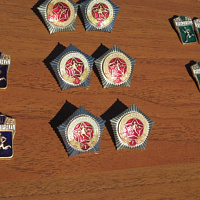 По заслугам — спортивные разряды