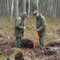 Военнослужащие 48-го отдельного батальона радиоэлектронной борьбы внесли вклад в озеленение Брестчины