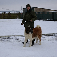 Они всегда начеку