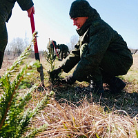 Военнослужащие 15 зрбр приняли участие в акции «Дай лесу новае жыццё!»