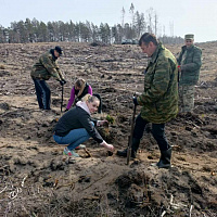Сделали доброе дело