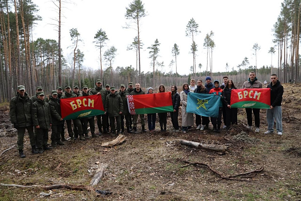 Военнослужащие 48-го отдельного батальона радиоэлектронной борьбы внесли вклад в озеленение Брестчины