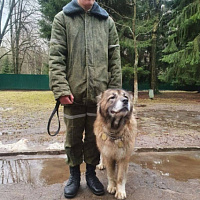 В гостях у военных кинологов
