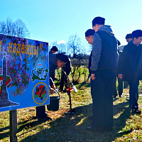 В разных уголках Беларуси военнослужащие приводят в порядок территории