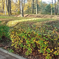 Дань памяти и долг потомков